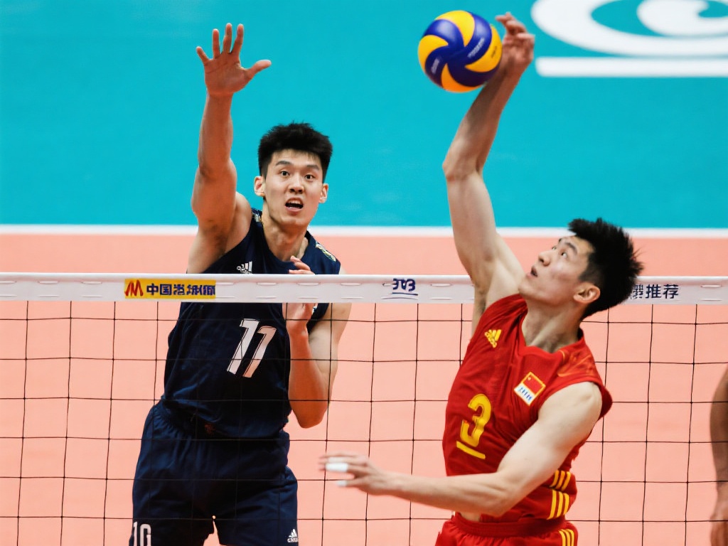 往往缺乏完 往往缺乏完