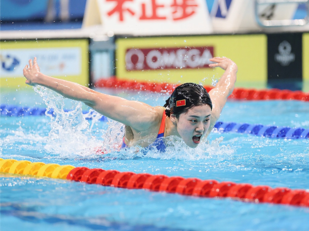 了市场对比 了市场对比